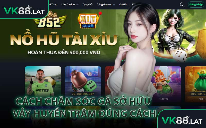 Cách Chăm Sóc Gà Sở Hữu Vảy Huyền Trâm Đúng Cách
