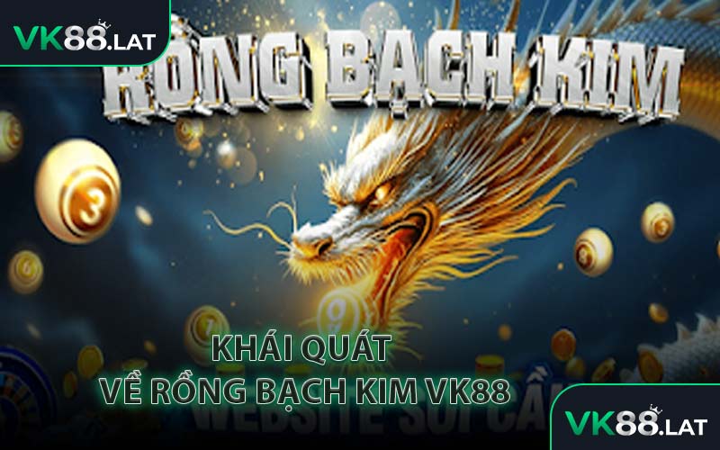 Khái Quát Về Rồng Bạch Kim VK88